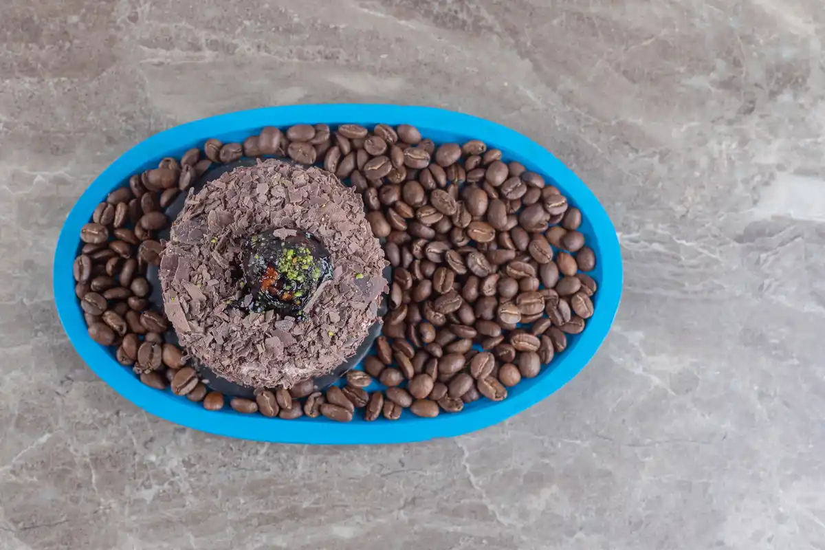 coffee grounds fertilizer for plants close up