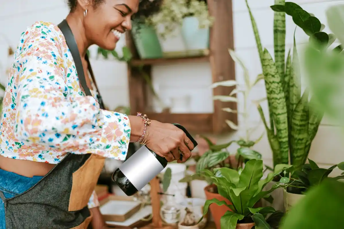 home gardener using coffee grounds with houseplants
